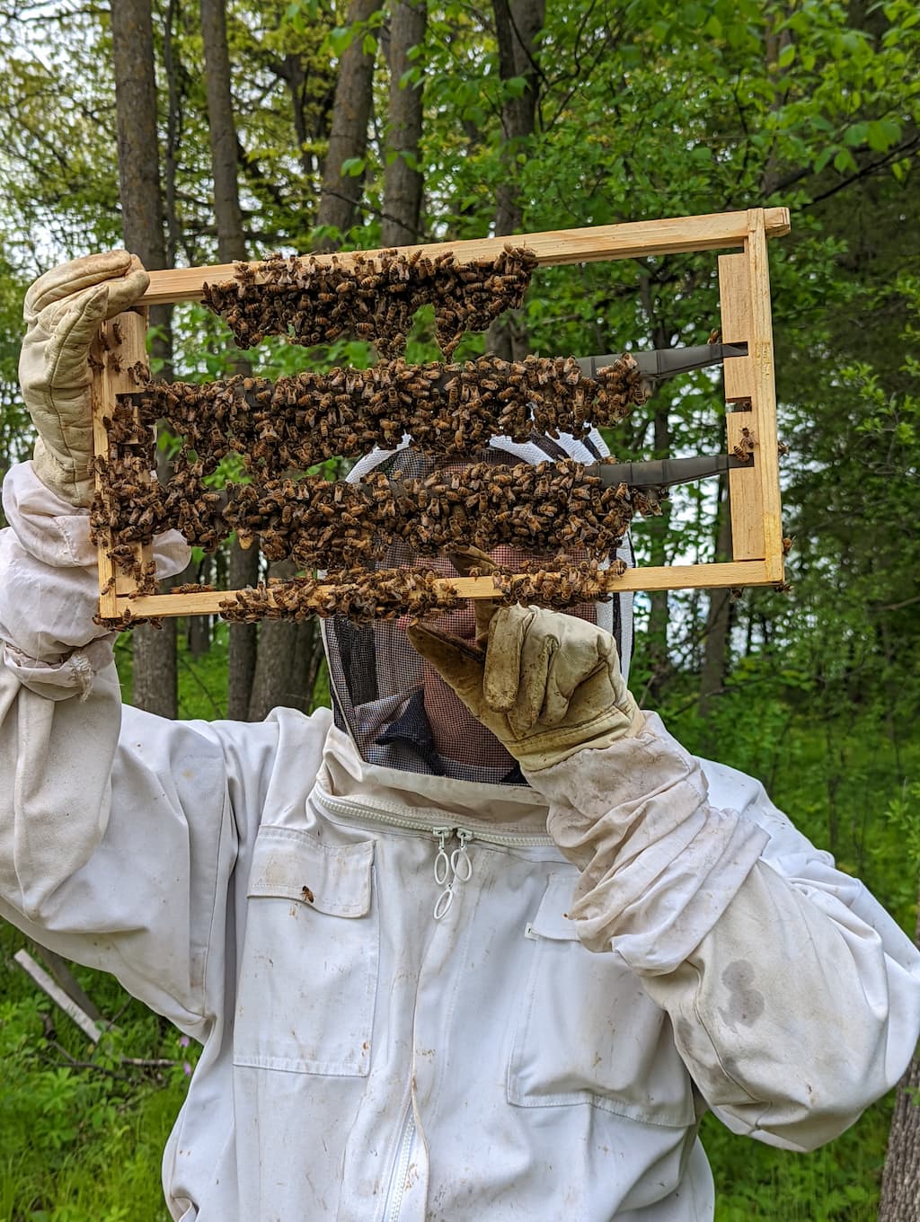 Hope Harvest Apiary Sustainable Practices