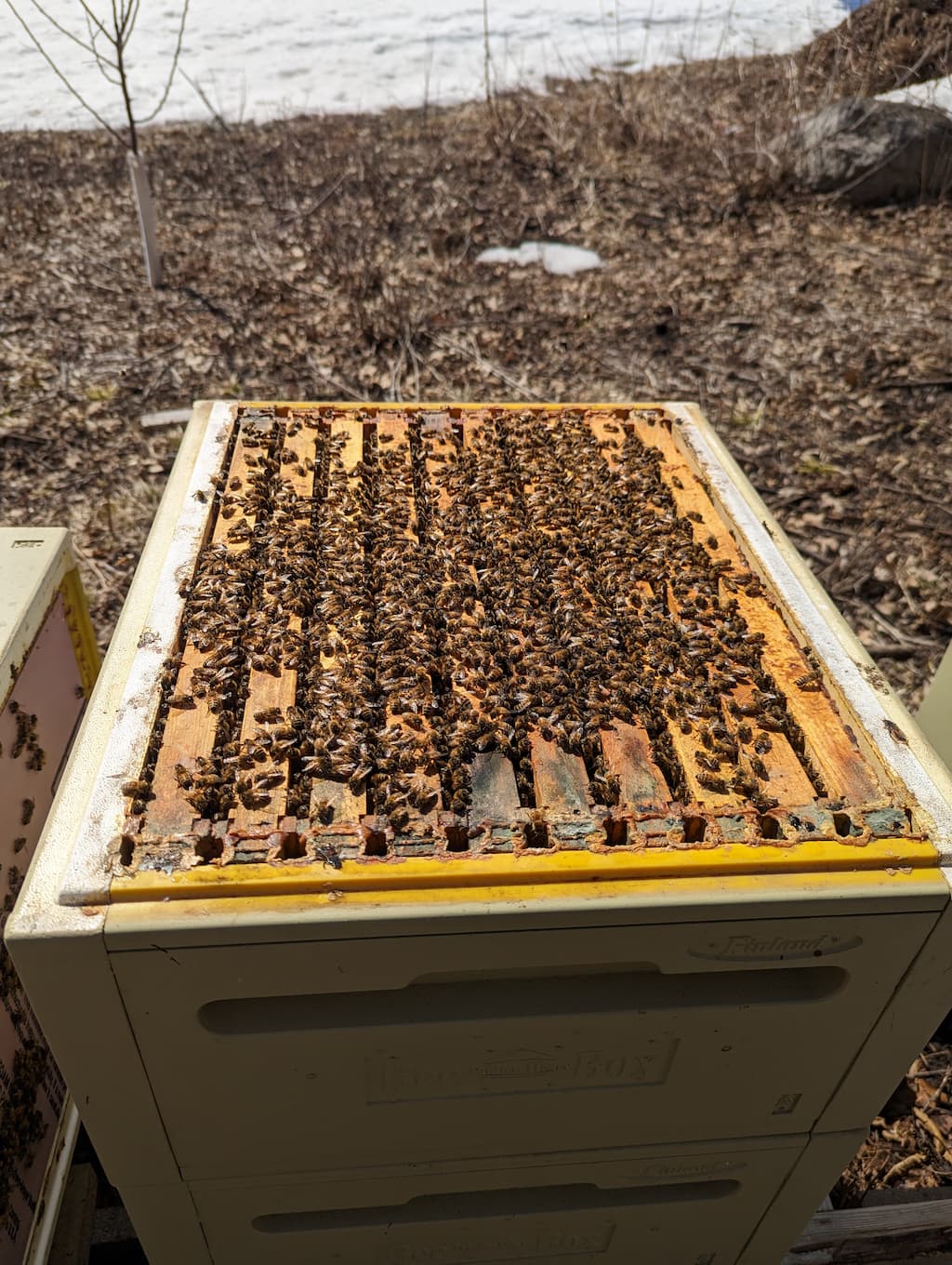 Hope Harvest Apiary Community Hives